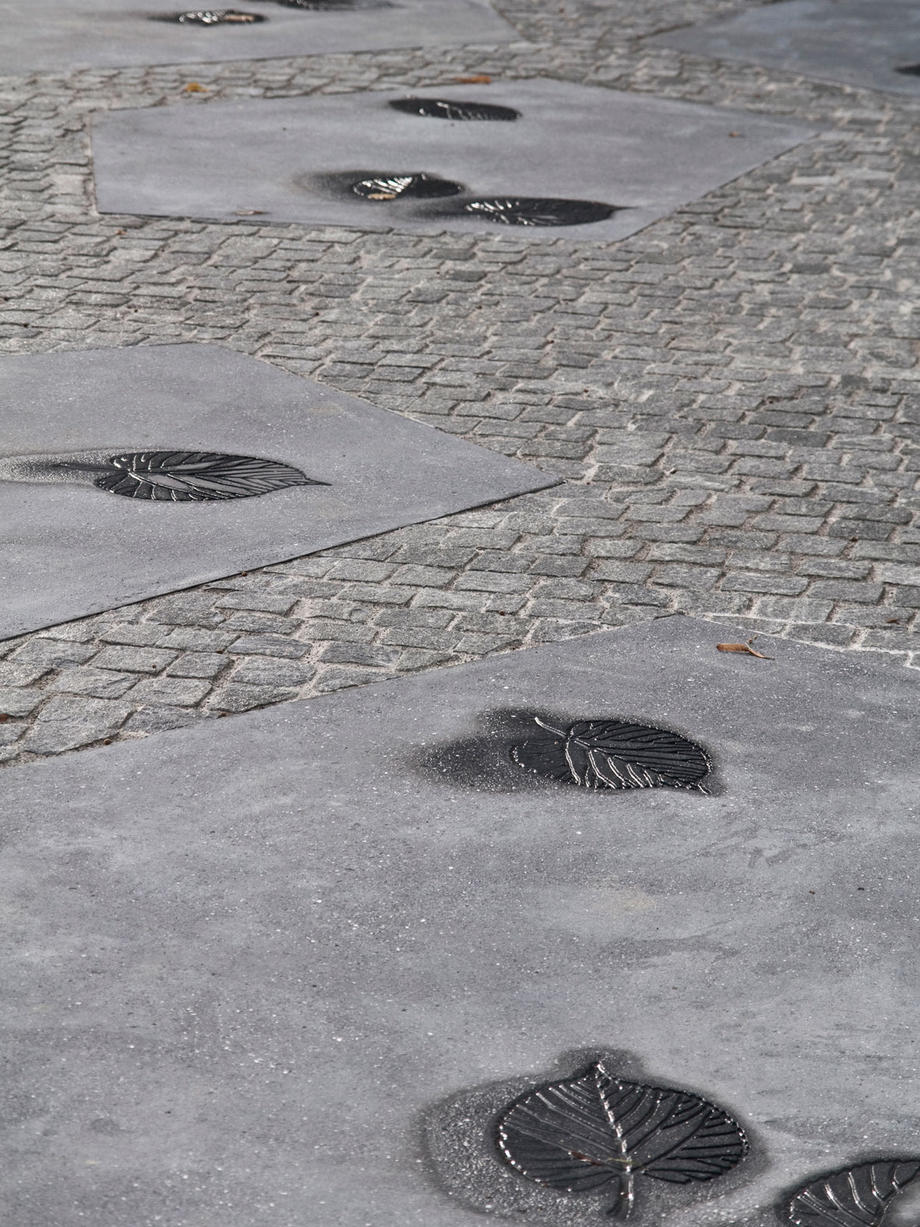 die Blatt-Reliefs nach einem Platzregen