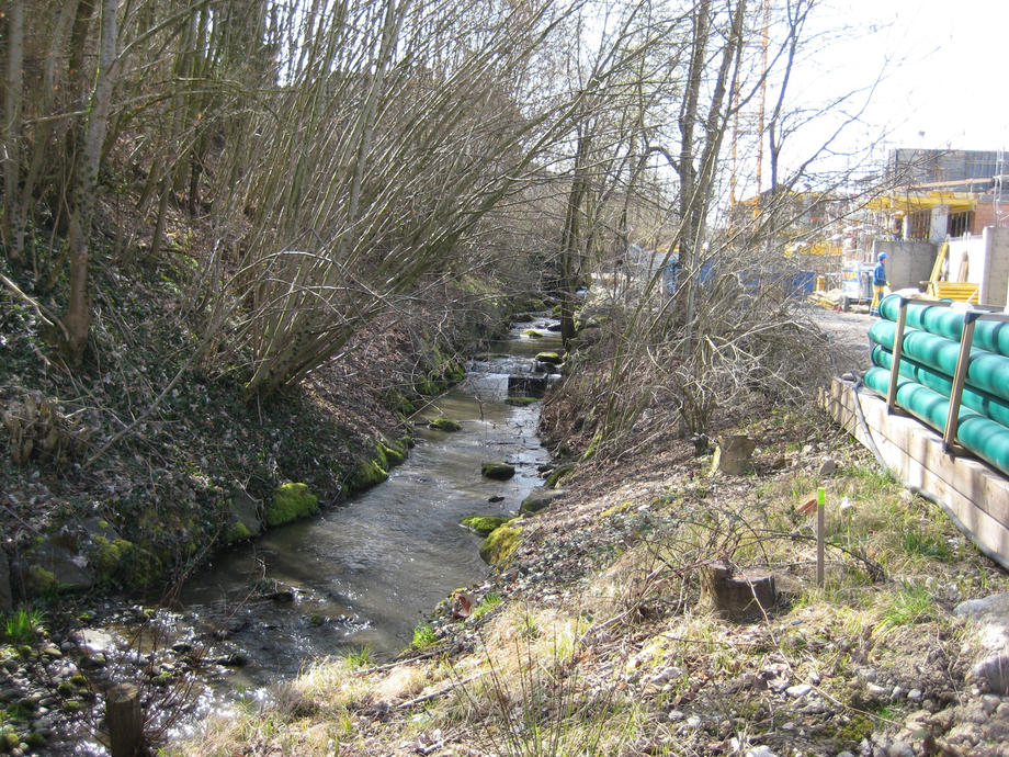 die Bauparzelle liegt direkt am Bach